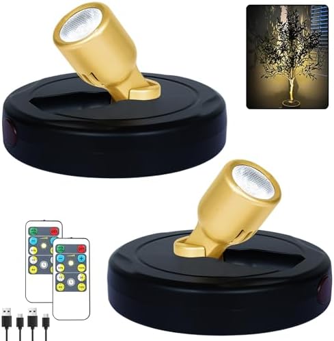 HAMVIDNE LED Spotlights Indoor, Rechargeable Battery Picture Display Lights by HAMVIDNE