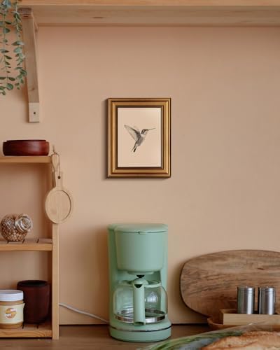VIYYIEA Vintage Gold Framed Wall Art – Hummingbird Sketch, 8x10 IN - Image 6
