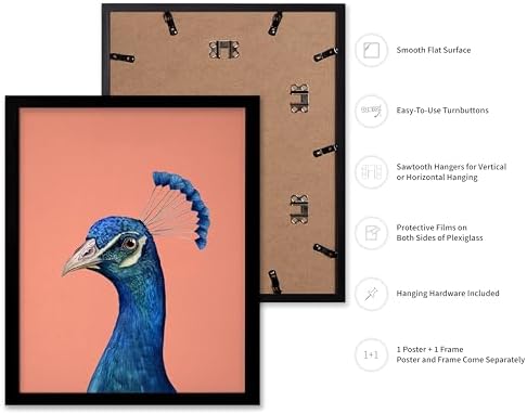 Poster Master Peacock Print - Image 2