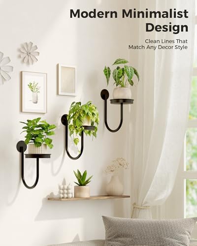 Bamworld Wall Plant Holder for Hanging Planters - Image 6