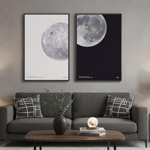 Large Framed Black and White Moon Wall Art Set of 2 by Cuspin