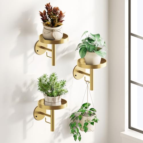 DELLAN Wall Plant Holder, All Gold by DELLAN