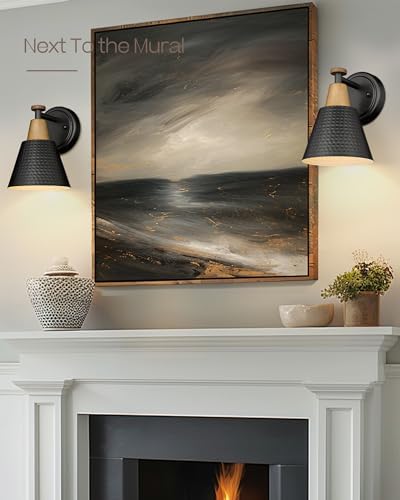 FEMILA Black Wall Sconces, Rustic Industrial Wall Lamps, 1-Light Sconces Wall - Image 5