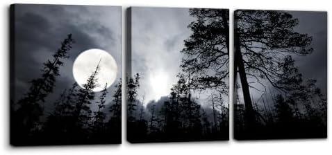 Pacimo 3 Pieces Framed Wall Art Decorations Dark Forest Night Landscape by Pacimo