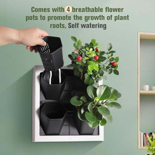 Wall Mounted Planter, Vertical Garden - Image 6