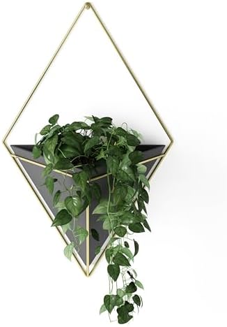 Umbra Trigg Wall Display, Large Geometric Planter Vessel by Umbra