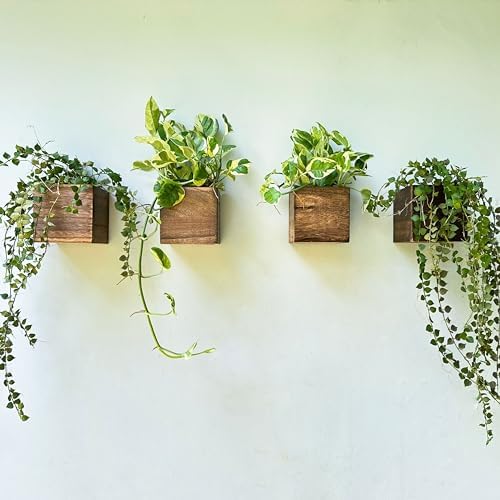 LaLaGreen Wall Planter for Indoor Plants Hanging Wooden Boxes by L%C3%A1L%C3%A1Green