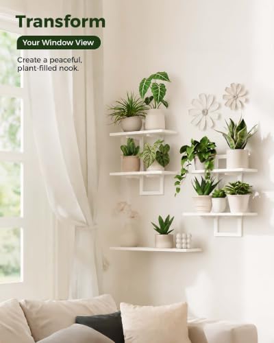 Bamworld Floating Shelves for Wall Planters Indoor Hanging Plant Shelves - Image 3