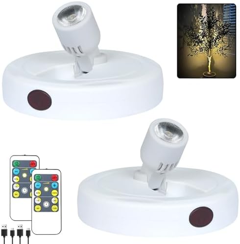 HAMVIDNE LED Spotlights Indoor, Rechargeable Battery Picture Display Lights by HAMVIDNE