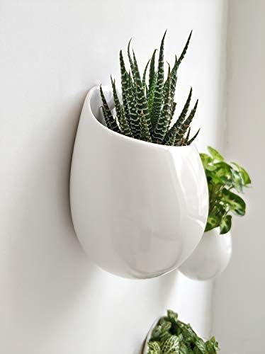 Mkono 4 Inch Wall Mounted Planter Round Ceramic Hanging Plant Holder Decorative - Image 4
