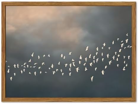 Framed Vintage Flying Bird Canvas Wall Art, Minimalist Abstract Flock of White by Unknown