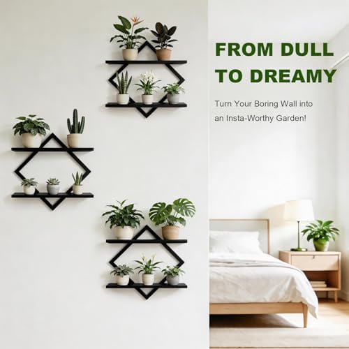 Set of 3 Wall Plant Holder - Image 6