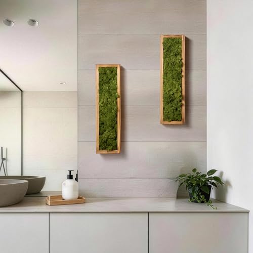 Mokof Preserved Moss Wall Art Decor, Moss Green, 2 Pack - Image 6