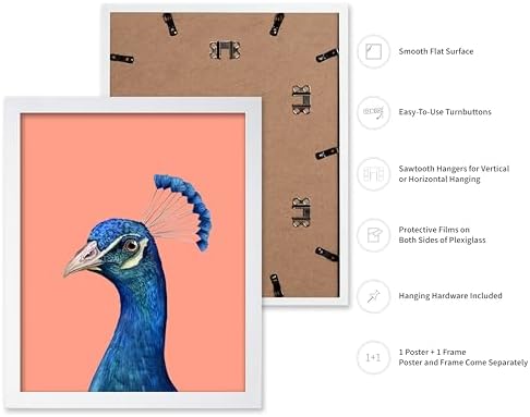 Poster Master Peacock Print - Image 2