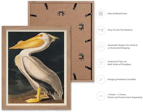 Poster Master Vintage John James Audubon Poster - Image 2