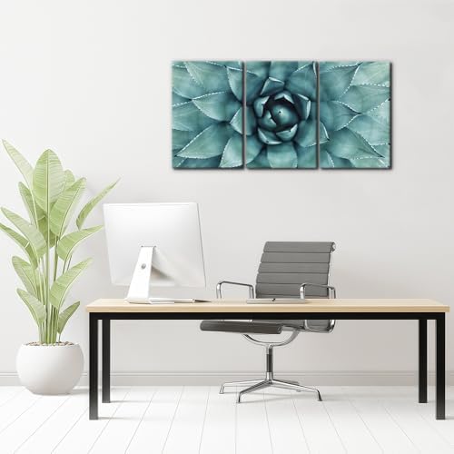 Pacimo 3 Pieces Canvas Wall Art Succulent Centre Pictures Prints Giclee Poster - Image 3