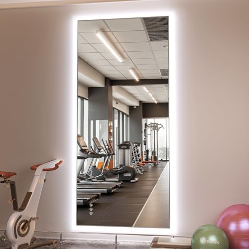 Hasipu 79''x 36'' Home Gym Mirror - Image 2