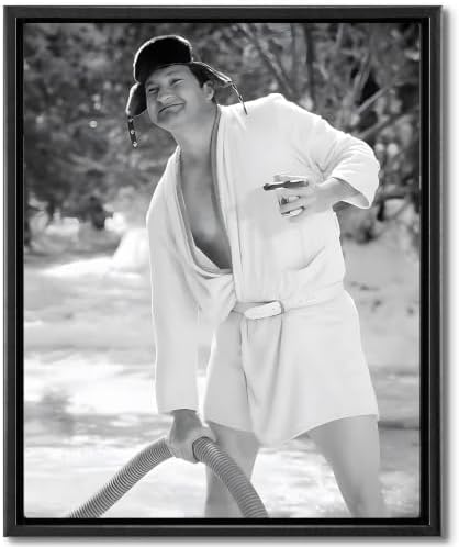B.B.F MAKE Funny Comedy Movie Framed Canvas Wall Art by BBFMAKE