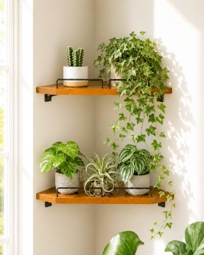 Bamworld Corner Shelf Wall Mounted, 13 Inch Floating Corner Shelves by Bamworld