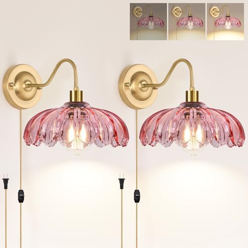 ZECOXOL Vintage Plug in Wall Sconces Set of Two, Glass Wall Sconces Lamps by ZECOXOL