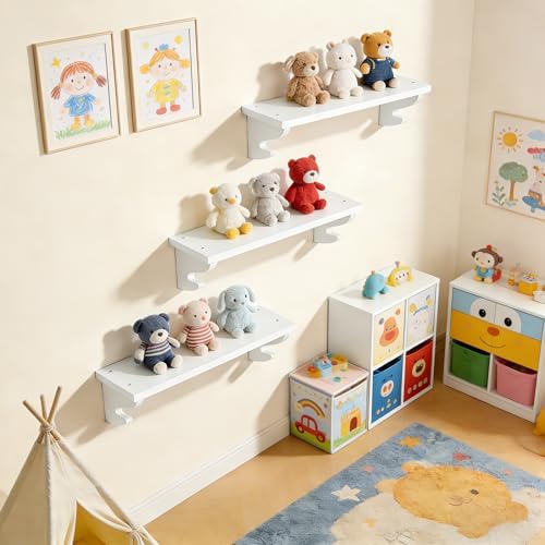 Alsonerbay 17-Inch Wood Floating Shelves - Image 6