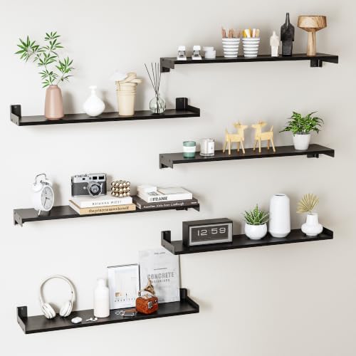 Floating Shelves for Wall, Shelves for Decor Storage by FNBAR