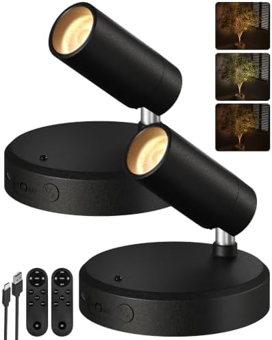 EZVALO Indoor Spotlights, Picture Lights by EZVALO