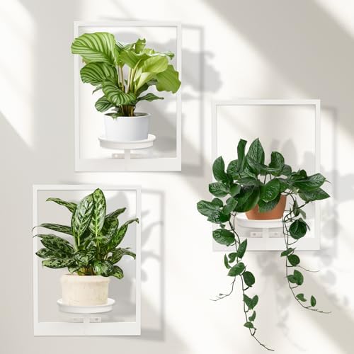 Hanging Planters for Indoor Plants Floating Shelves for Wall White, Wall Plant by STORENIZATION