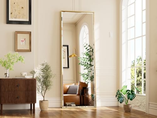 16x60 Inch Brushed Gold Full Length Mirror - Image 2