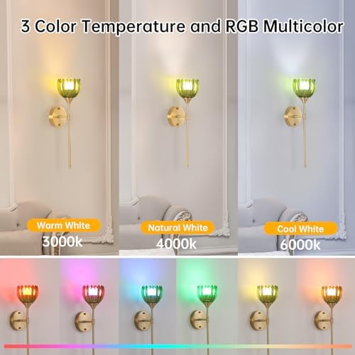 Shenmoyl Battery Operated Wall Sconce Set of 2 - Image 3
