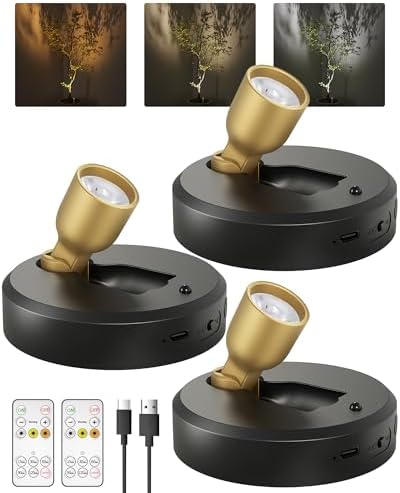 EZVALO 3-Pack Spotlight Indoor, Rechargeable Battery Picture Lights, Wireless by EZVALO