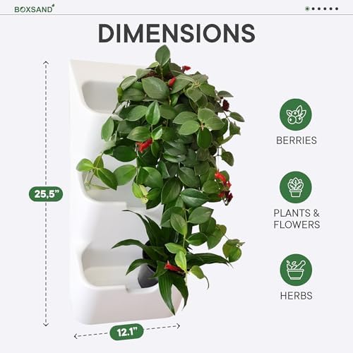 BOXSAND-6 Vertical Wall Planter – Living Wall - Image 2