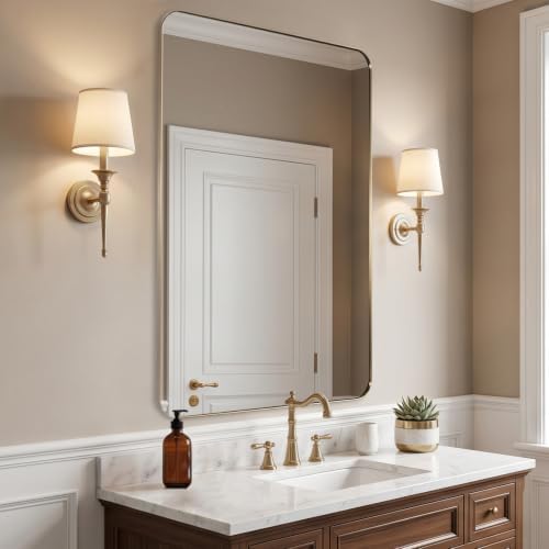 ANDY STAR 30x55 Inch Brushed Champagne Bronze Rectangular Bathroom Mirror by ANDYSTAR