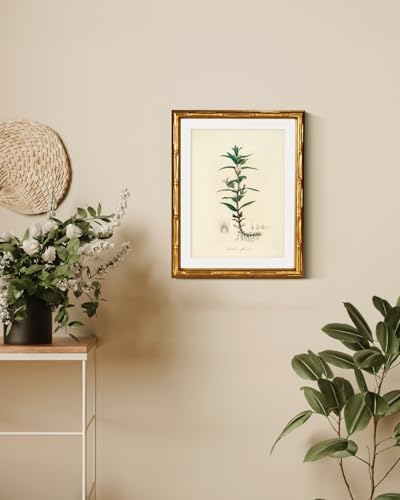 InSimSea Gold Bamboo Framed Wall Art, Vintage Kitchen Herbs Prints - Image 6