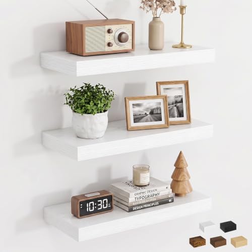 Dreamland 20 Inch Floating Shelves by Dreamland