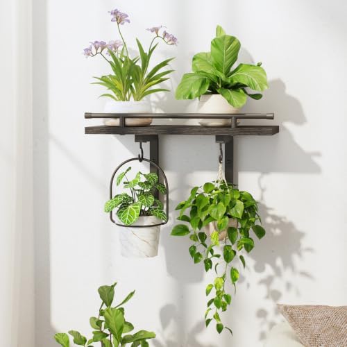 LASZOLA Wall Plant Shelves Floating Hanger Holder Indoor by LASZOLA
