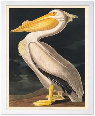 Poster Master Vintage John James Audubon Poster by PosterMaster
