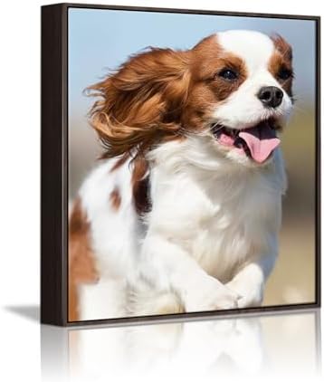 Canvas Prints with Your Photos, Ship Next Day Custom Wall Art by Unknown