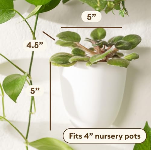 PlantPod Classic - Image 3