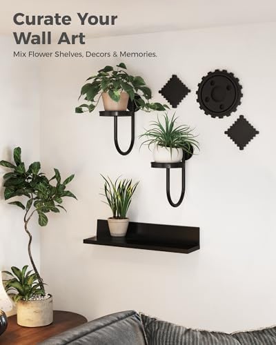 Bamworld Wall Plant Holder for Hanging Planters - Image 5