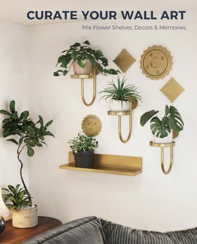 Bamworld Wall Plant Holder for Hanging Planters - Image 6