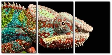 Pacimo Canvas Print Wall Art Set Chameleon Nature Photography Animals Realism by Pacimo