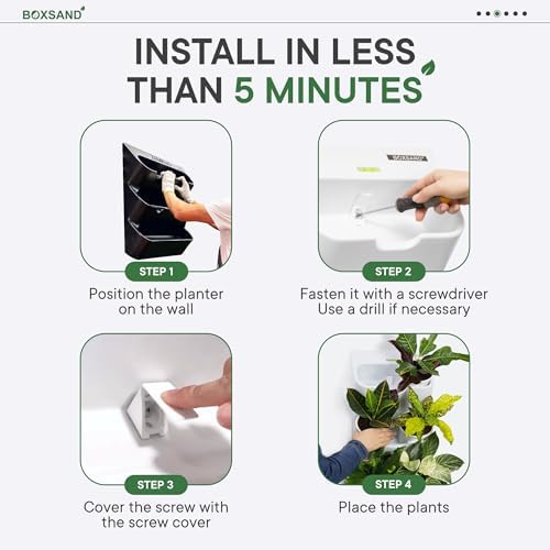 BOXSAND-12 Vertical Wall Planter – Living Wall - Image 4