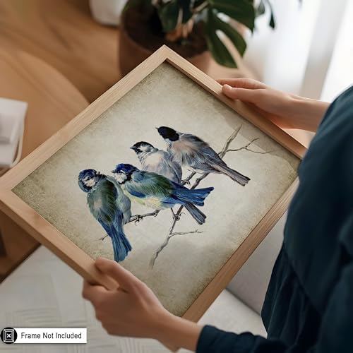 Poster Master Blue Birds On Branch Poster - Image 5
