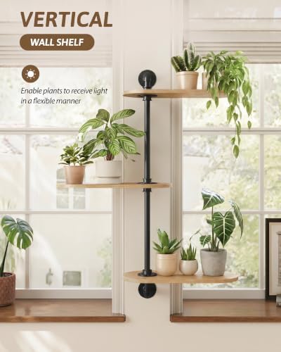 GENTINGBRO Window Plant Shelves 3-Tier Rotating Plant Stand Natural - Image 5