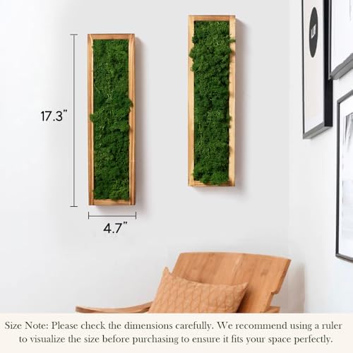 Mokof Preserved Moss Wall Art Decor, Forest Green, 2 Pack - Image 3