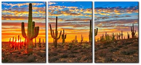 Pacimo 3 Pieces Wilderness Cactus Wall Art Decor by Pacimo
