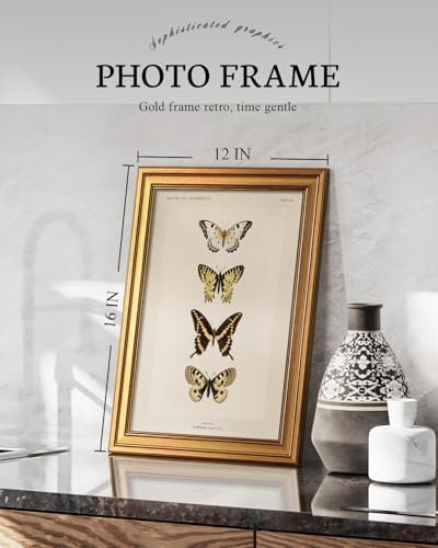 VIYYIEA Vintage Gold Framed Butterfly Wall Art, 16L x 12 Inch - Image 2