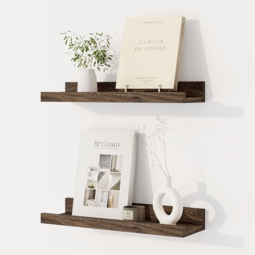 Dreamland Picture Ledge Shelf for Wall, Floating Shelves Set of 2, 16 inch Long by Dreamland