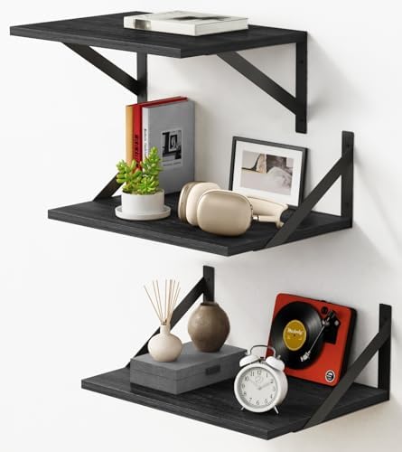 Forbena 12 Inch Deep Floating Shelves by Forbena